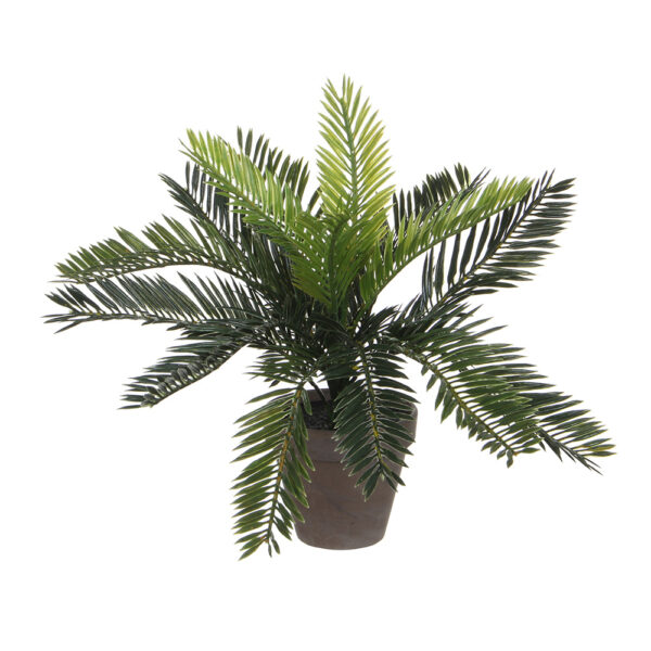 PALMERA SAGO (CYCA REVOLUTA) PVC CON MACETA GRIS 40x40x33cm