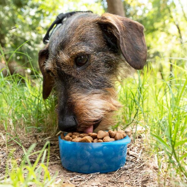 BOTELLA CON DEPÓSITO DE AGUA Y COMIDA PARA MASCOTAS 2 EN 1 PETTAP V0103141 INNOVAGOODS - Imagen 6