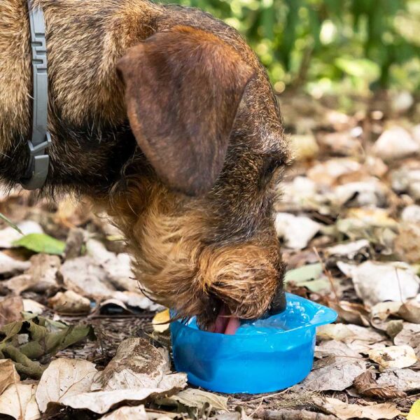 BOTELLA CON DEPÓSITO DE AGUA Y COMIDA PARA MASCOTAS 2 EN 1 PETTAP V0103141 INNOVAGOODS - Imagen 8